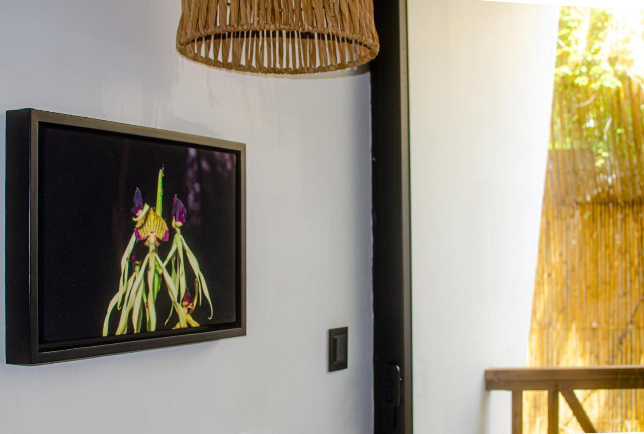 Ximena Hotel Boutique Sayulita Dış mekan fotoğraf